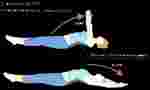 Приспособление  для растяжки спины us medica flexyback